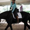 Tapis de selle antidérapant pour dressage standard blanc