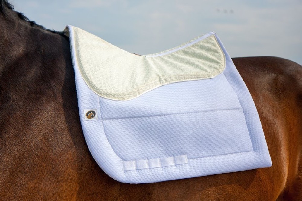 My Sensitive Sally Contest: Win an Ecogold Calmatech Saddle Pad