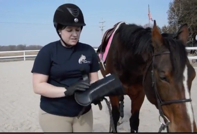 Stirrups & Sparkles' Review of ECOGOLD Schooling Horse Boots - Ecogold ...