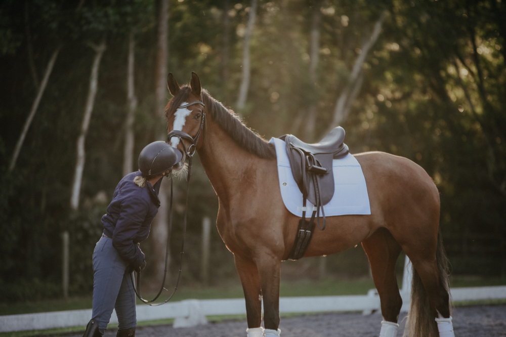 10 Ways to Keep Your Horse Happy and Healthy