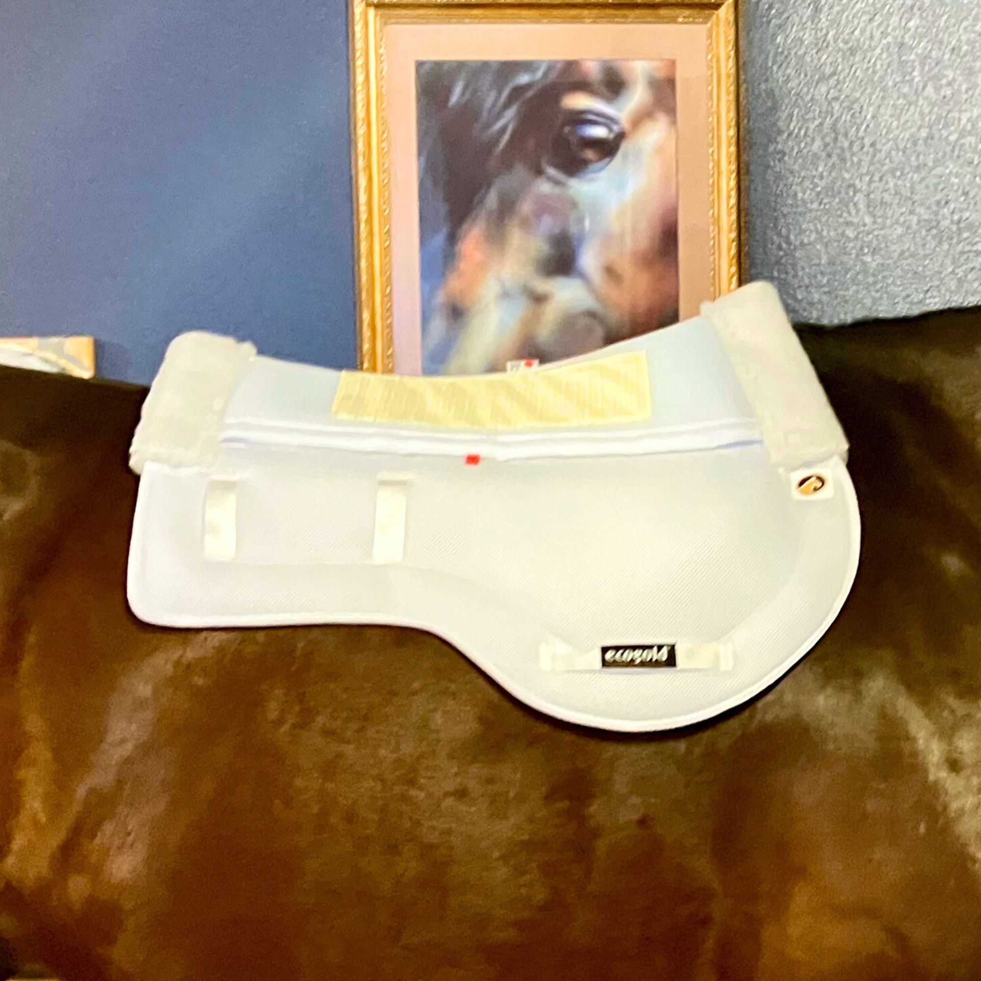 Hunter Number Pad-on horse